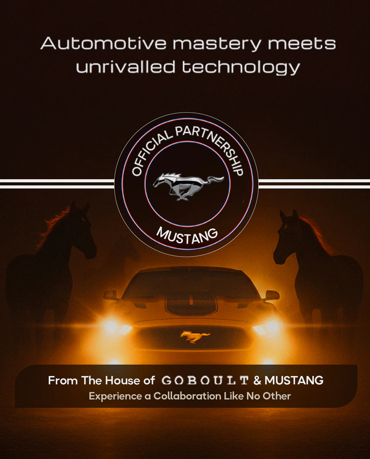 Mustang Thunder - Image 2